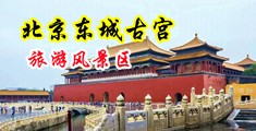熟女情人给我添鸡巴中国北京-东城古宫旅游风景区